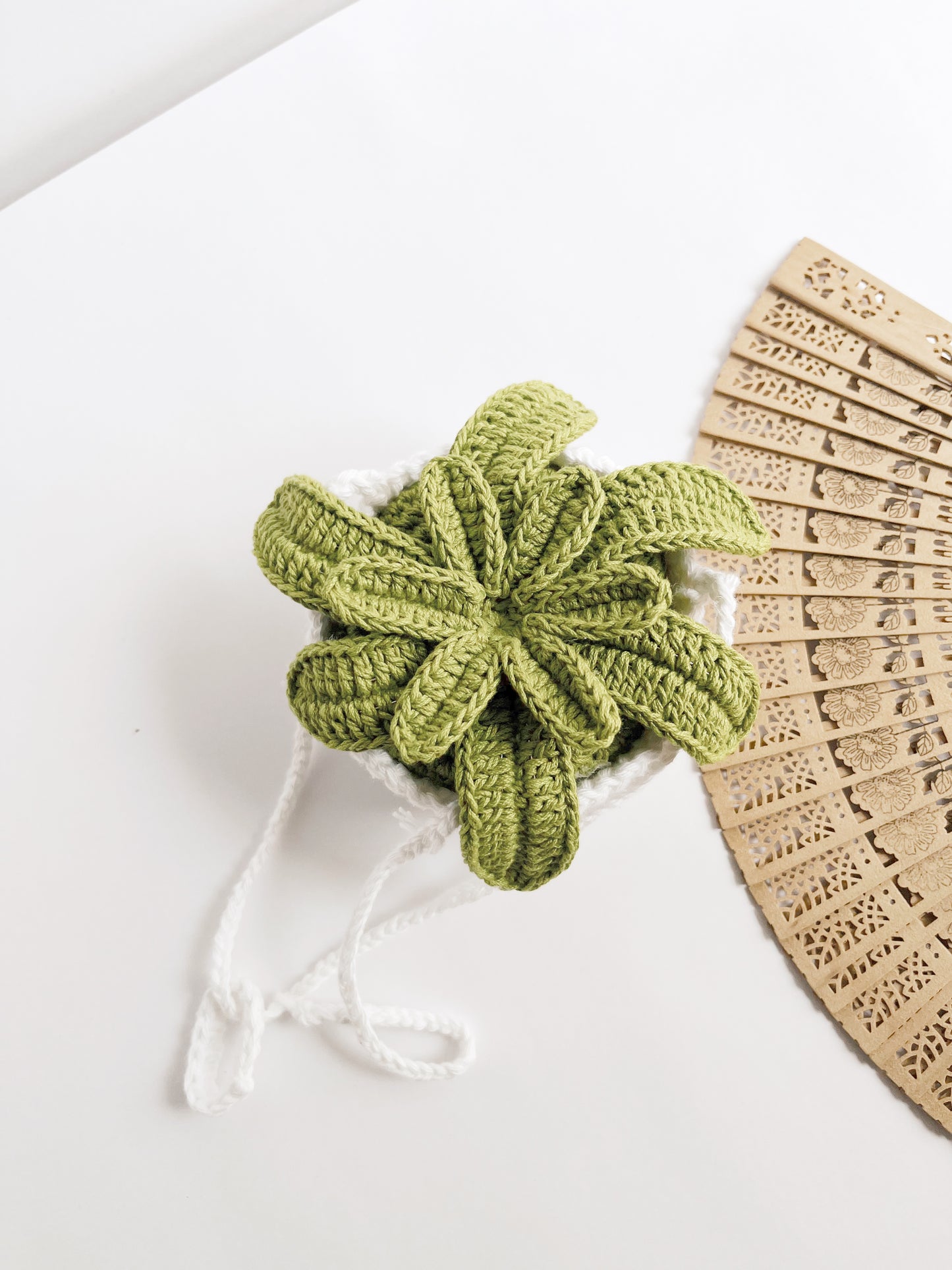 Crochet Succulent (Without String)