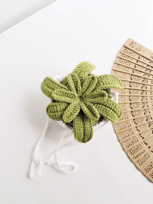 Crochet Succulent (Without String)