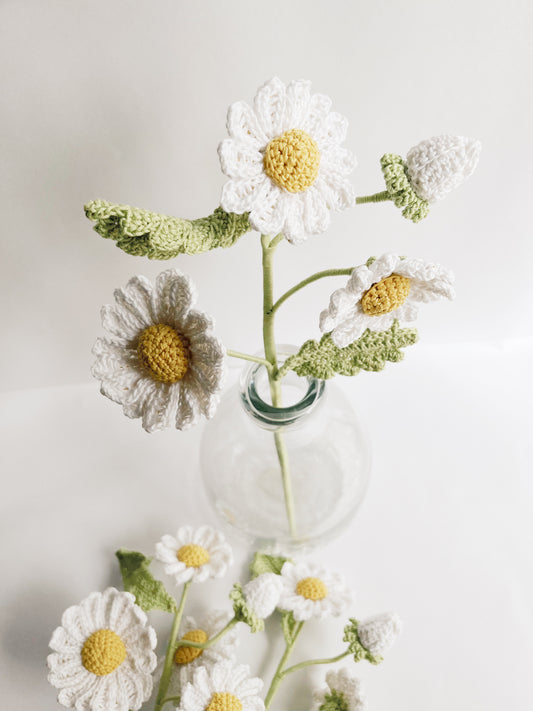 3 head daisy